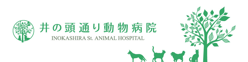 井の頭通り動物病院